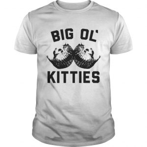 Big ol kitties cat Guys