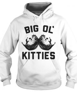 Big ol kitties cat Hoodie