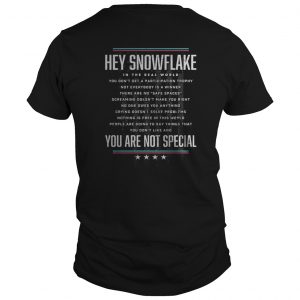  Hey Snowflake Guys