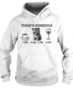 Today’s schedule drink coffee cat and wine Hoodie