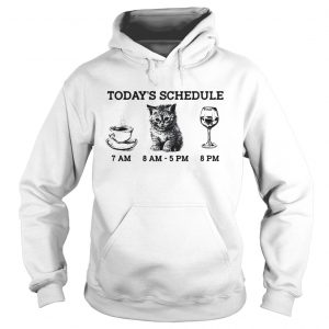Today’s schedule drink coffee cat and wine Hoodie