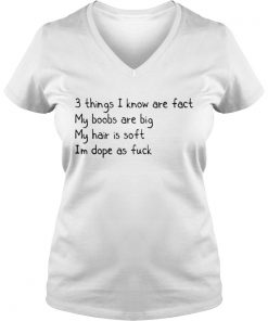3 things i know are fact my boobs are big Vneck