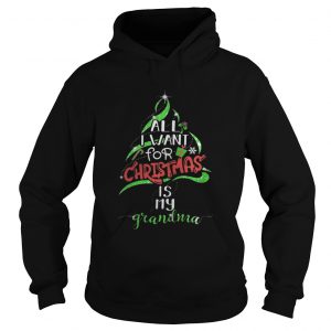 All i want for christmas is my grandma hoodie Hoodie