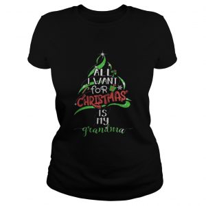 All i want for christmas is my grandma hoodie Ladies Tee