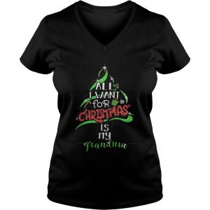 All i want for christmas is my grandma hoodie Vneck
