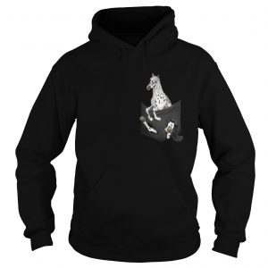 Appaloosa Horse in pocket Hoodie