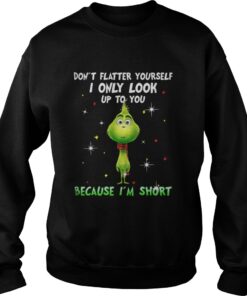 Baby Grinch don’t flatter yourself I only look up to you Christmas Sweatshirt