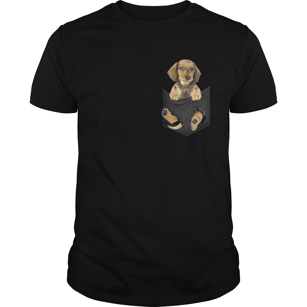 Dachshund in the pocket Christmas shirt