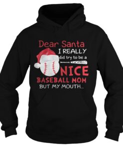 Dear Santa I really did try to be a nice baseball mom Guys