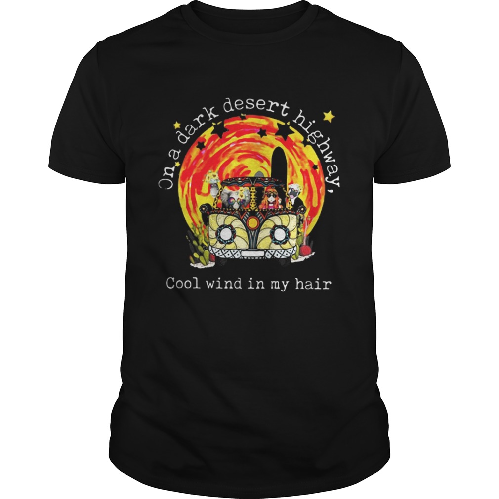 Hippie car moonlight on a dark desert highway cool wind in my hair shirt