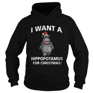 I Want A Hippopotamus For Christmas Hoodie