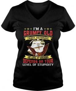 I’m a grumpy and navy veteran my level of sarcasm lever of stupidity Vneck
