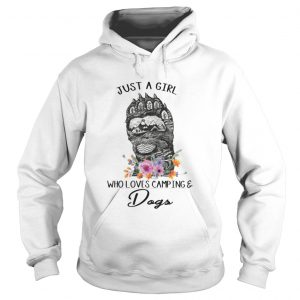Just A Girl Who Loves Camping And Dogs Hoodie