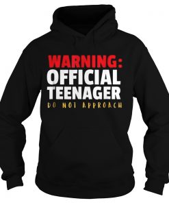 Official Teenager 13 Year Old Funny 13th Birthday Gift Hoodie