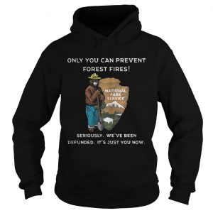 Only You Can Prevent Forest Fires Hoodie