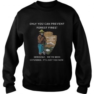 Only You Can Prevent Forest Fires Sweatshirt