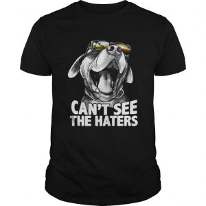 Pitbull glasses can’t see the haters Guys