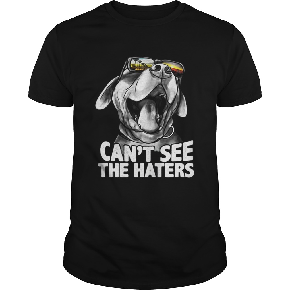 Pitbull glasses can’t see the haters shirt