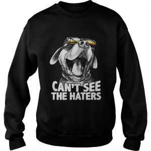 Pitbull glasses can’t see the haters Sweatshirt