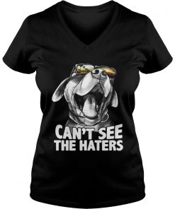 Pitbull glasses can’t see the haters Vneck