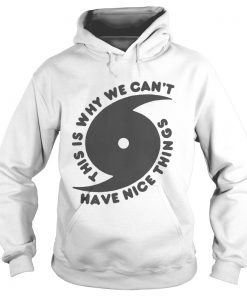 This is why we can’t have nice things Hoodie