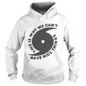 This is why we can’t have nice things Hoodie