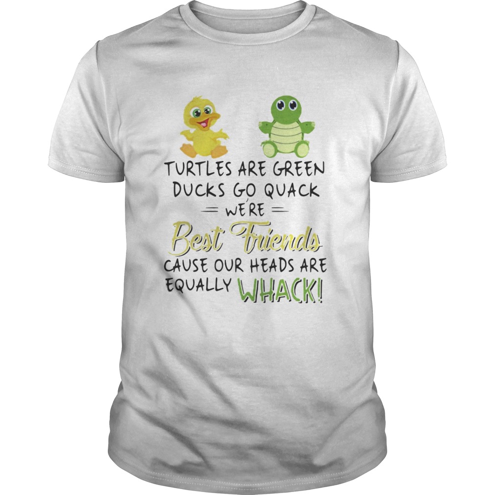 Turtles are green Ducks go quack we’re best friends shirt