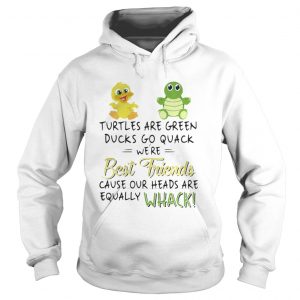 Turtles are green Ducks go quack we’re best friends Hoodie