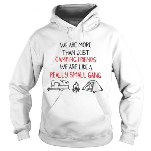 We Are More Than Just Camping Friends We Are Like A Really Small Gang Hoodie