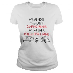 We Are More Than Just Camping Friends We Are Like A Really Small Gang Ladies Tee