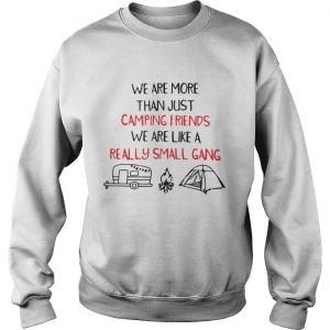 We Are More Than Just Camping Friends We Are Like A Really Small Gang Sweatshirt