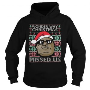 Wonder why christmas missed us Hoodie