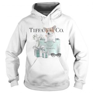 Dachshund Tiffany and CO Hoodie