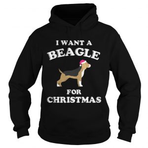 I Want A Beagle For Christmas Hoodie