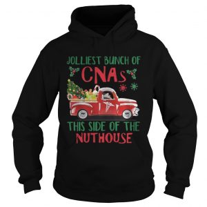 Jolliest Bunch of CNAs This Side of The Nuthouse Hoodie