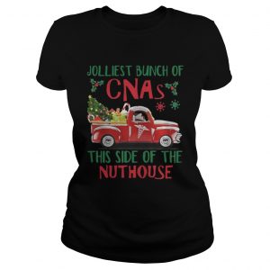Jolliest Bunch of CNAs This Side of The Nuthouse Ladies Tee