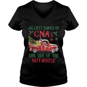 Jolliest Bunch of CNAs This Side of The Nuthouse Vneck