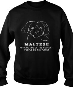 Maltese Dog Of The Coolest Sweater