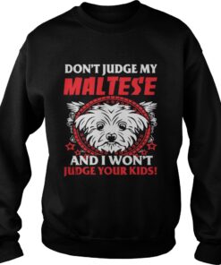 My Maltese And Your Kids Sweater