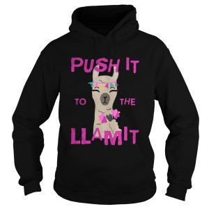 Push it to the Llamit Hoodie