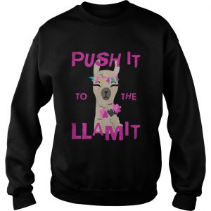 Push it to the Llamit Sweater