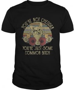 Sunset Fox youre not cheddar youre just some common bitch Guys Tee