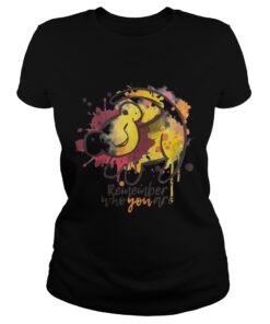 Lion King Remember who you are Ladies Tee