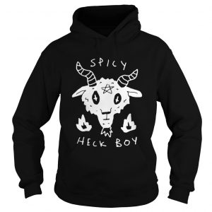 Spicy heck boy Hoodie