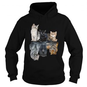 Cats reflection tigers Hoodie