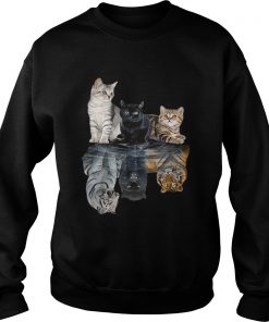 Cats reflection tigers Sweater