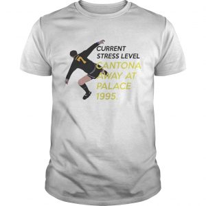 Current stress level cantona away at palace 1995 Guys Tee