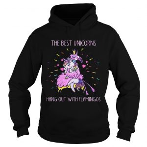 The best unicorns hang out with flamingos Hoodie