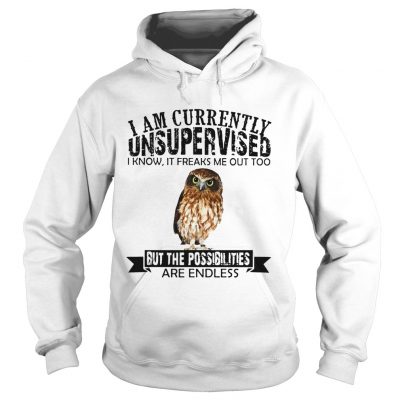 Burrowing Owl I am currently Unsupervised I know it freaks me out too but the possibilities are Hoodie