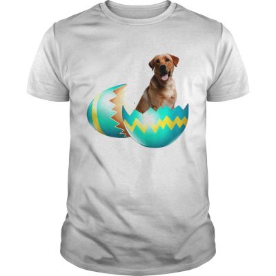 Dog Easter Cute Labrador Egg Gift Guys Shirt